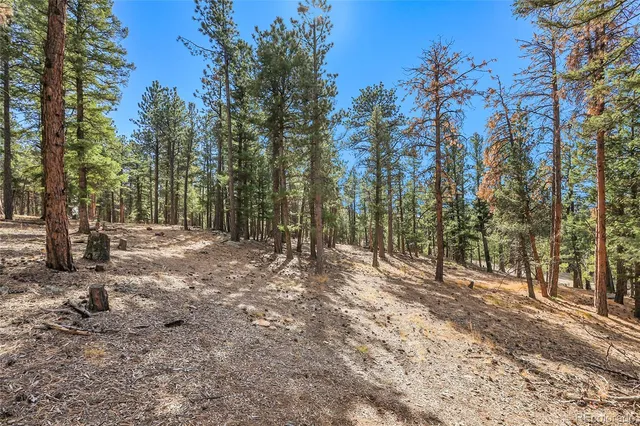 a view of outdoor space with trees