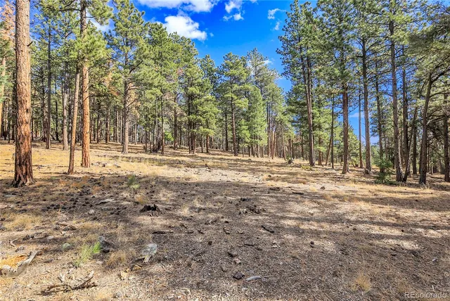 a view of outdoor space with trees