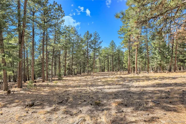 a fire hydrant in the middle of a field