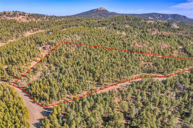 a view of a forest with a mountain