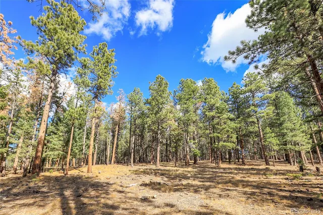 a view of outdoor space with trees
