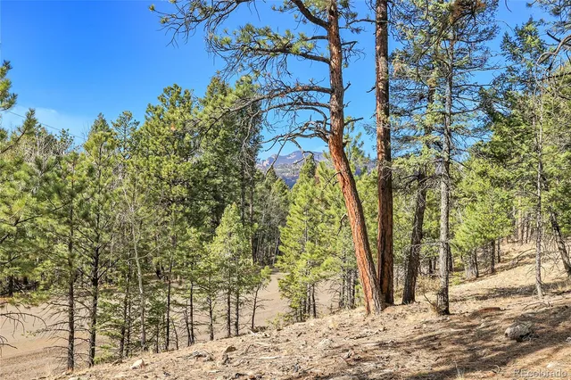 a view of a backyard of the house