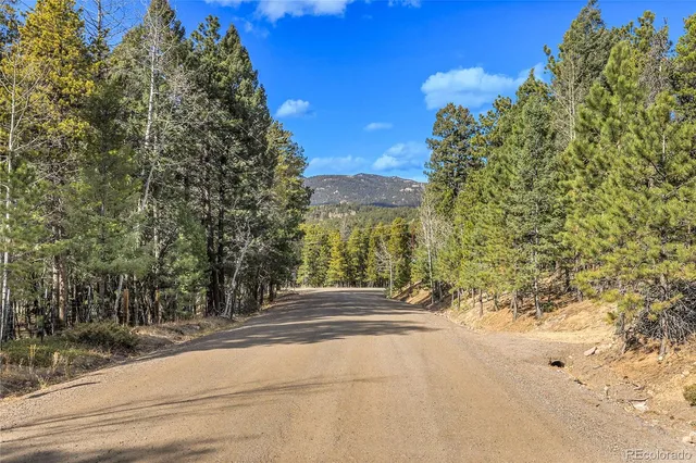 a view of backyard of the house