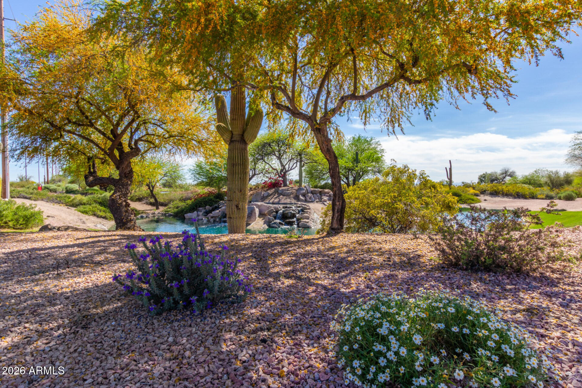 3948 North Ranier Mesa, AZ 85215 - Photo 51 of 69 a view of a backyard with plants and trees