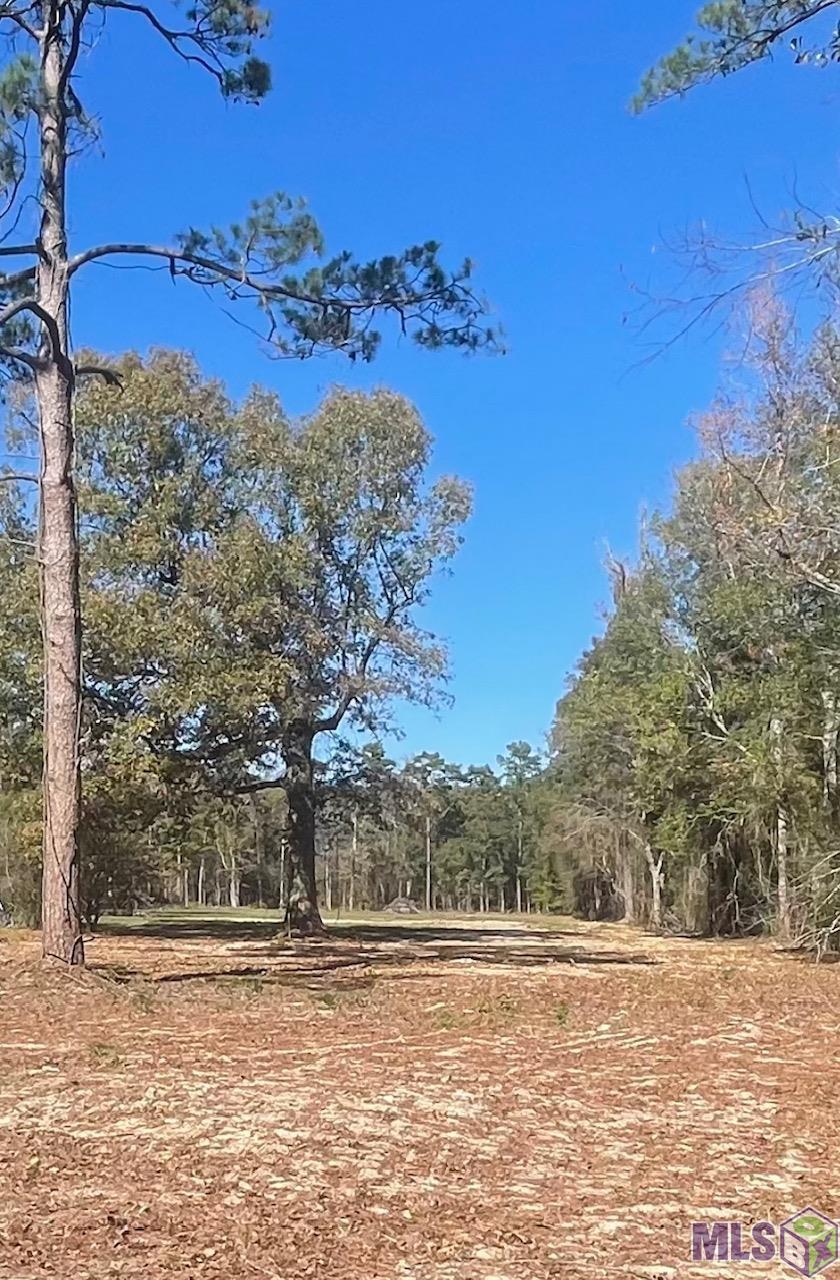 Y-3 Arnold Road Denham Springs, LA 70726 - Photo 4 of 9