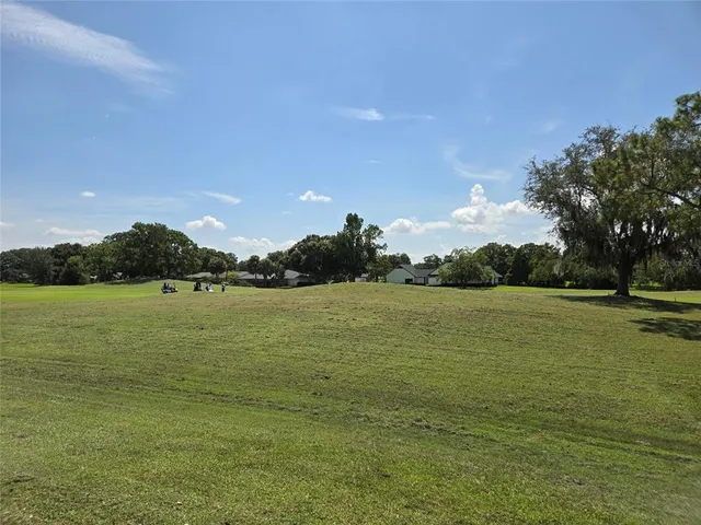 a view of a park that has a bench and a trees