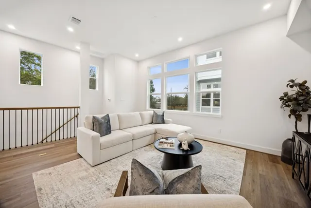 a living room with furniture and a potted plant
