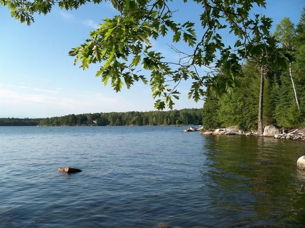 54 Evergreen Point Road Sullivan, ME 04664 - Photo 28 of 28 Photo