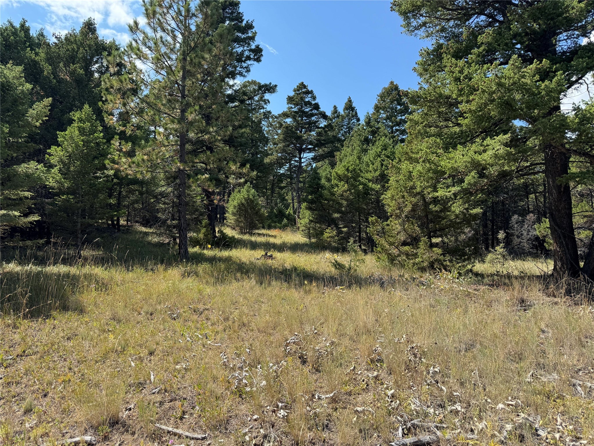 Lot 7 Turk Road Helena, MT 59602 - Photo 6 of 6 Gallery Image 6