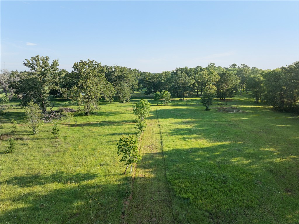26795 Rice Road Hockley, TX 77447 - Photo 13 of 19 a swimming pool with wooden fence and trees in the background