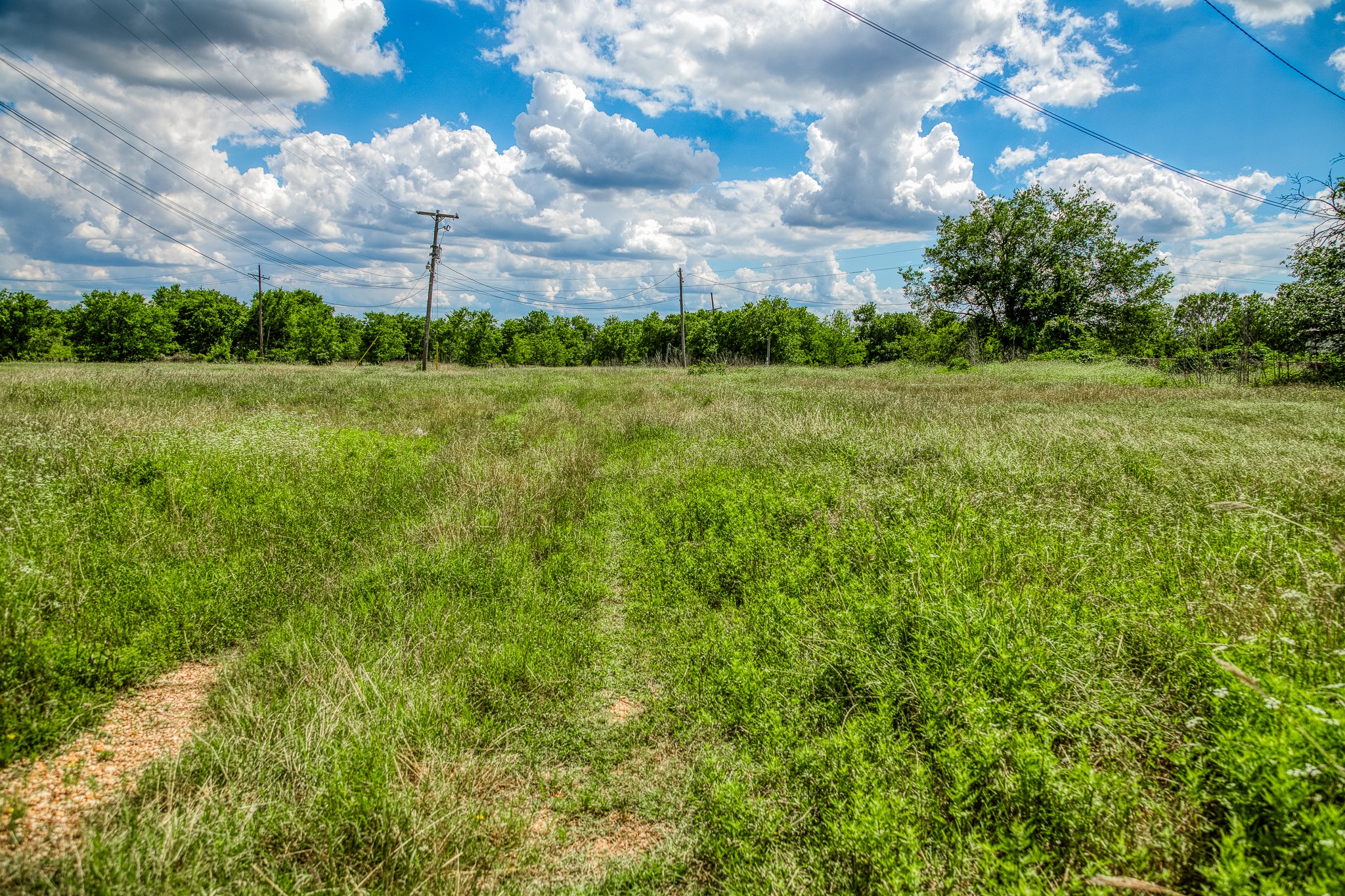 Tbd North Oneal Street Caldwell, TX 77836 - Photo 15 of 26