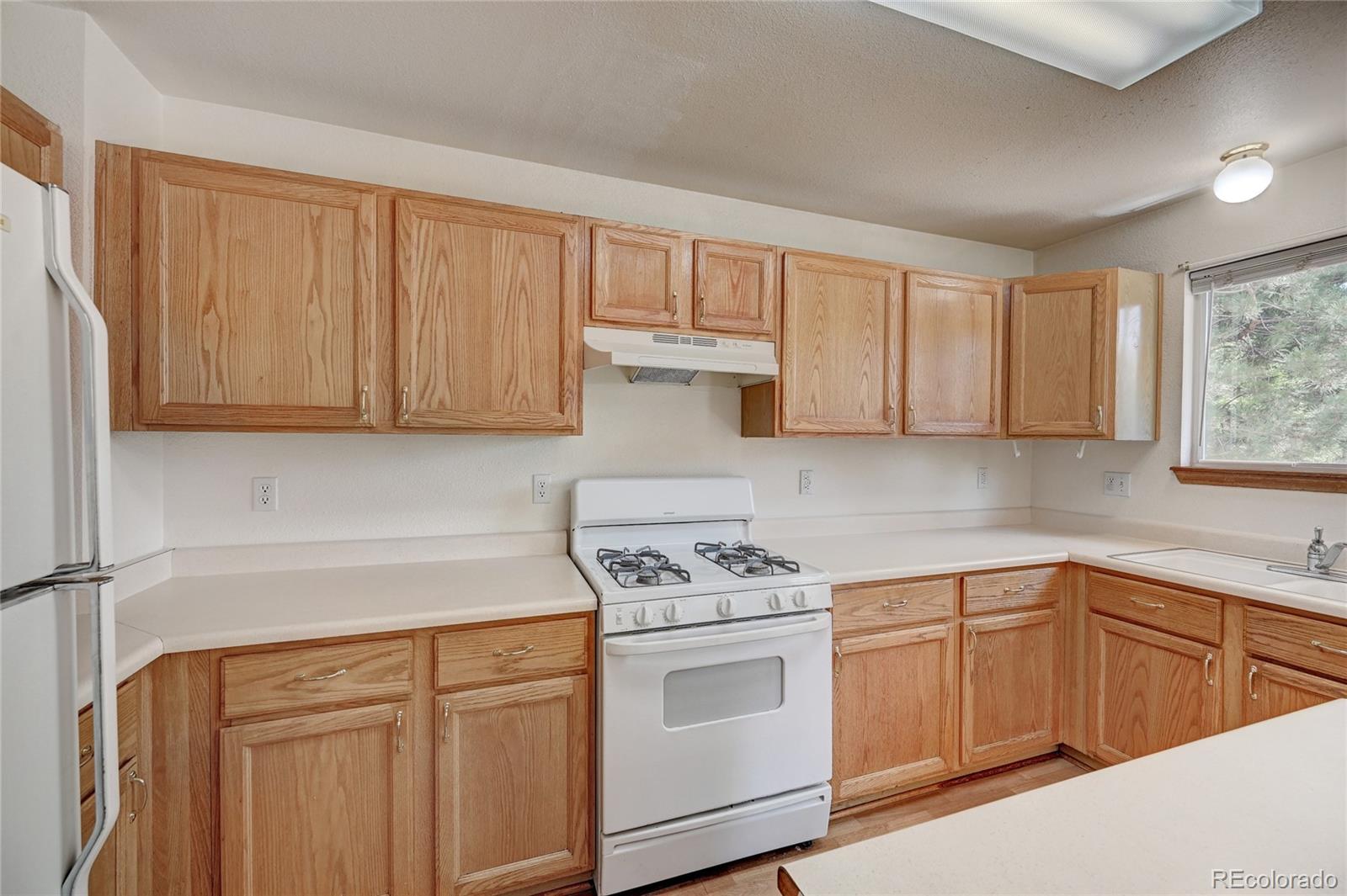 9616 South Castle Ridge Circle Highlands Ranch, CO 80129 - Photo 8 of 36 Gallery Image 8