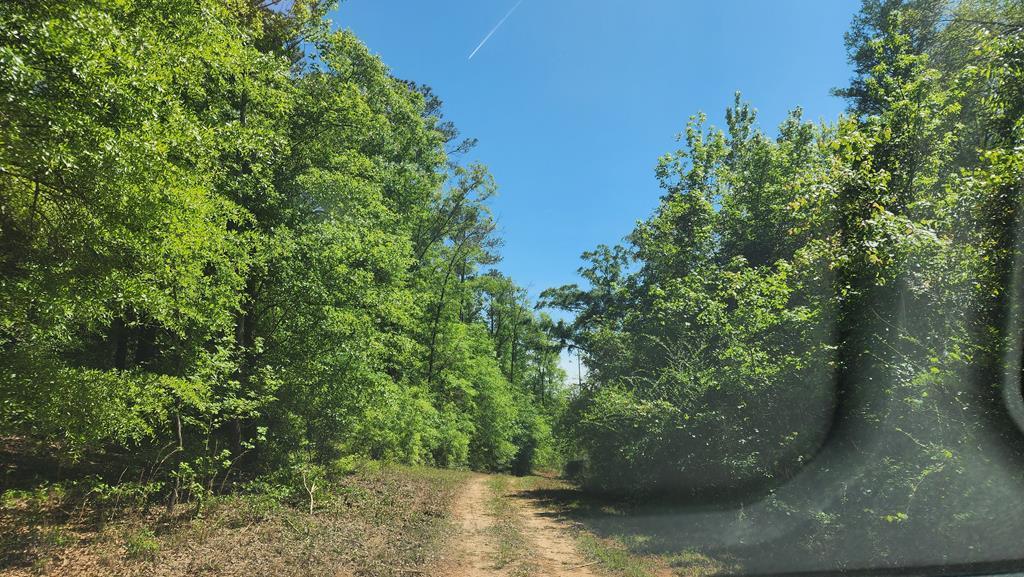 65-acres County Line Road Dothan, AL 36305 - Photo 2 of 37