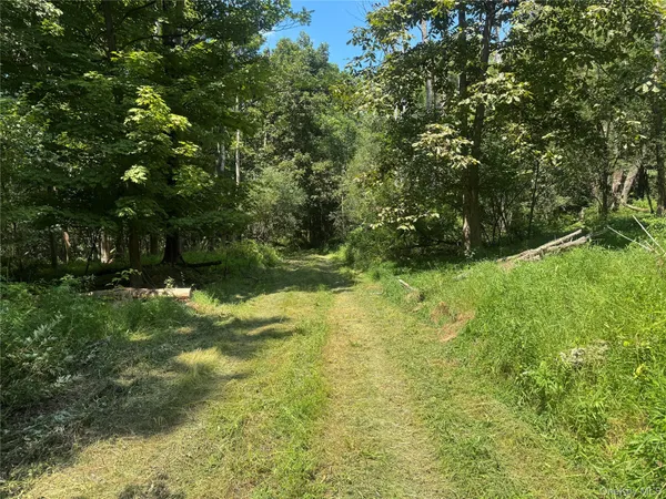 a view of yard