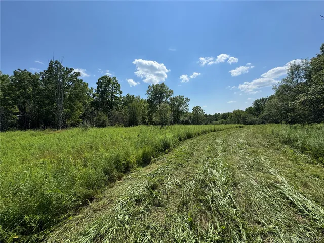 a view of a lake with a yard