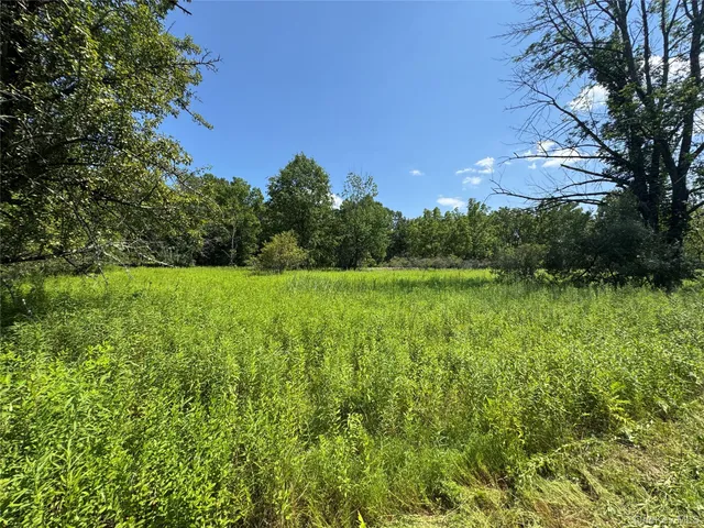 a view of a lake with a yard