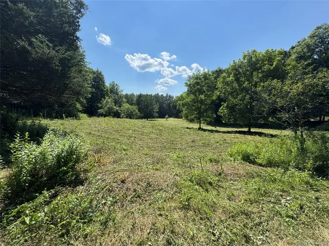 a view of a grassy area with an trees