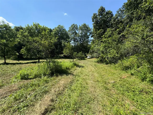 a view of a garden with a bench