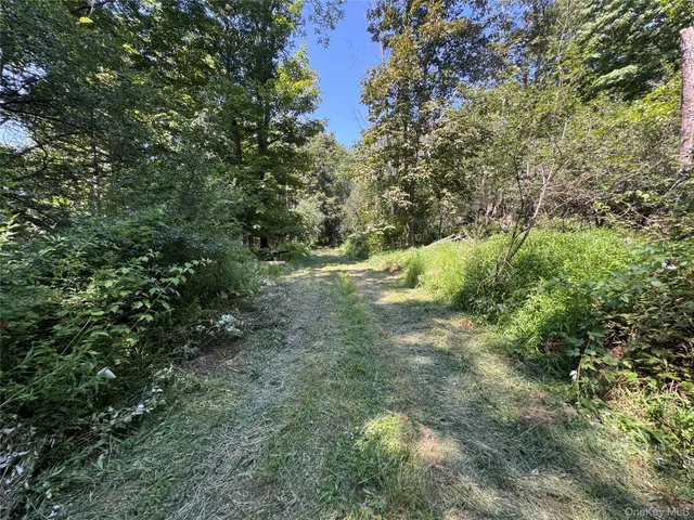 a view of outdoor space and trees all around