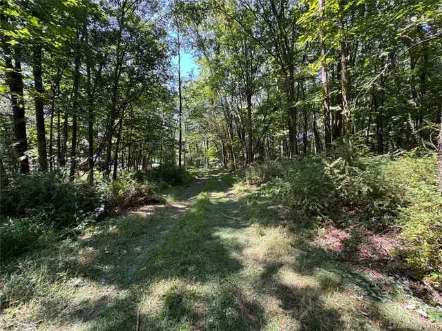 a big yard with lots of green space and deers