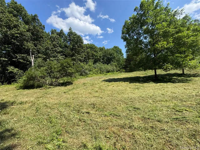 a view of outdoor space and yard