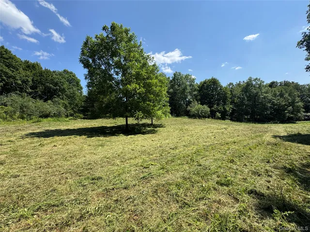 a view of an outdoor space and a yard
