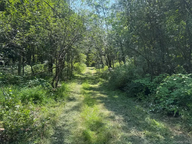 a view of outdoor space and trees all around