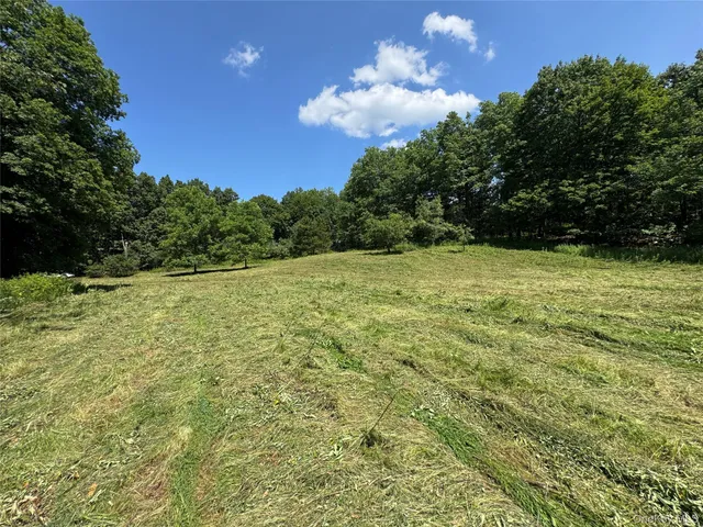 a view of a green yard