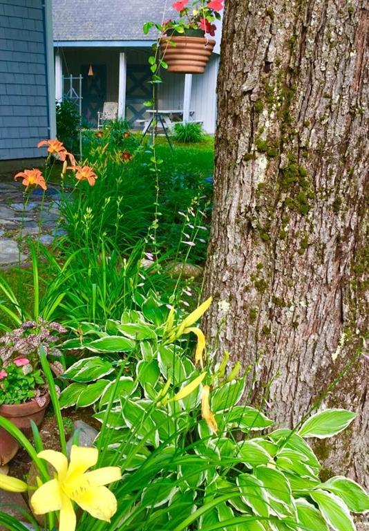 881 Oak Hill Road Swanville, ME 04915 - Photo 9 of 23 Landscaping invites a stroll around...