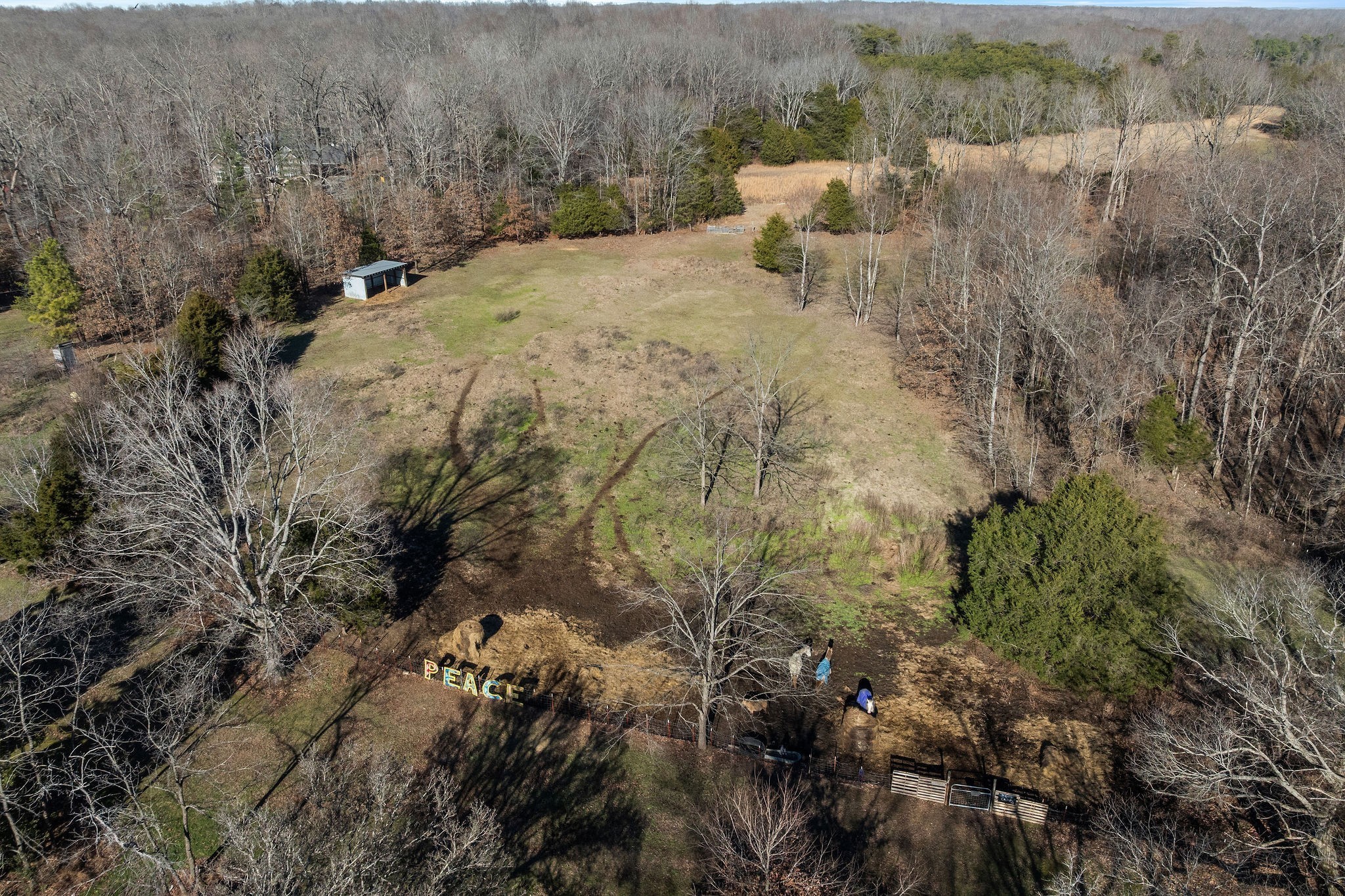 7139 Kingston Road Fairview, TN 37062 - Photo 14 of 48 a view of a dry yard