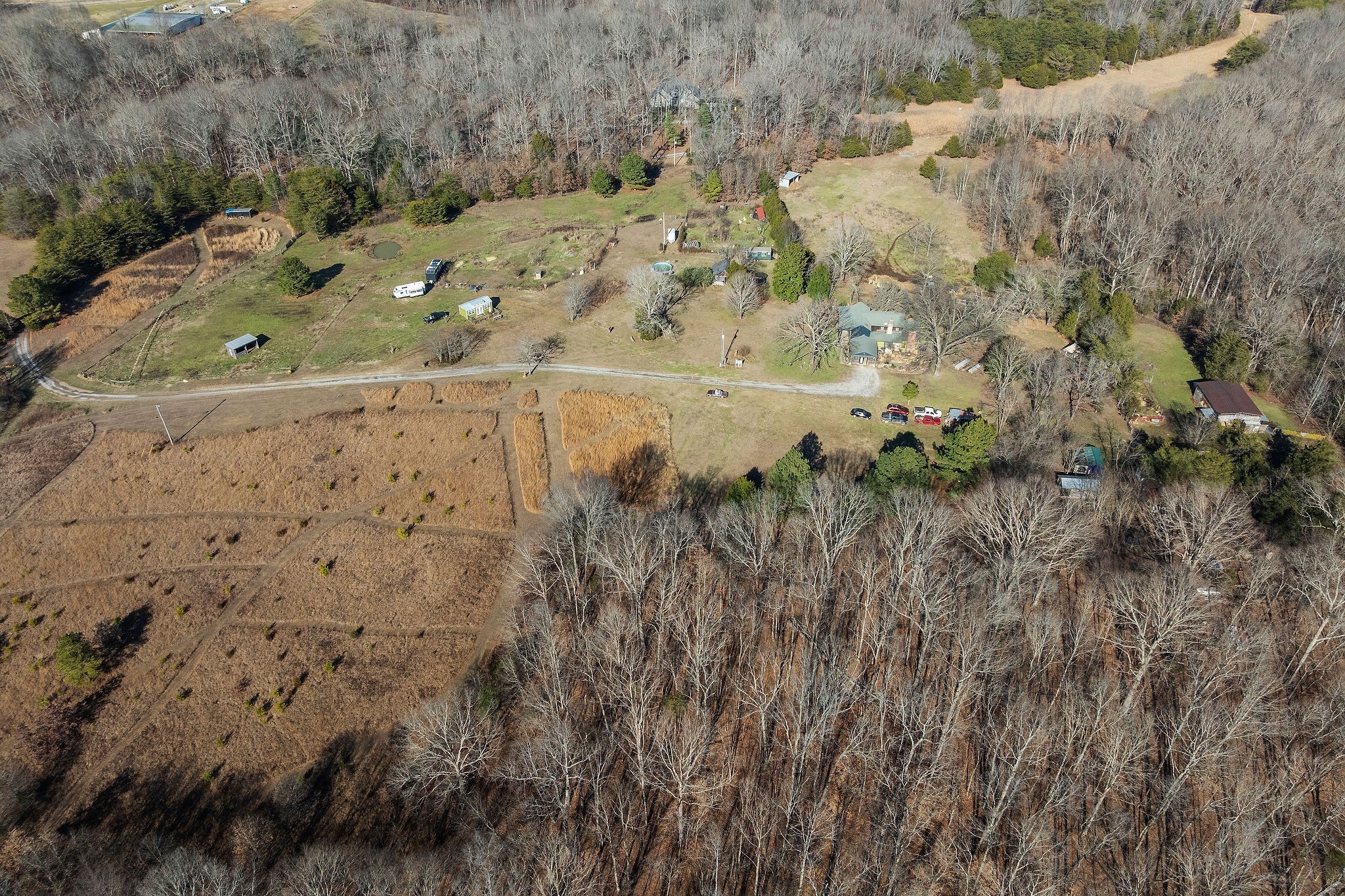 7139 Kingston Road Fairview, TN 37062 - Photo 16 of 48 a view of a yard with trees