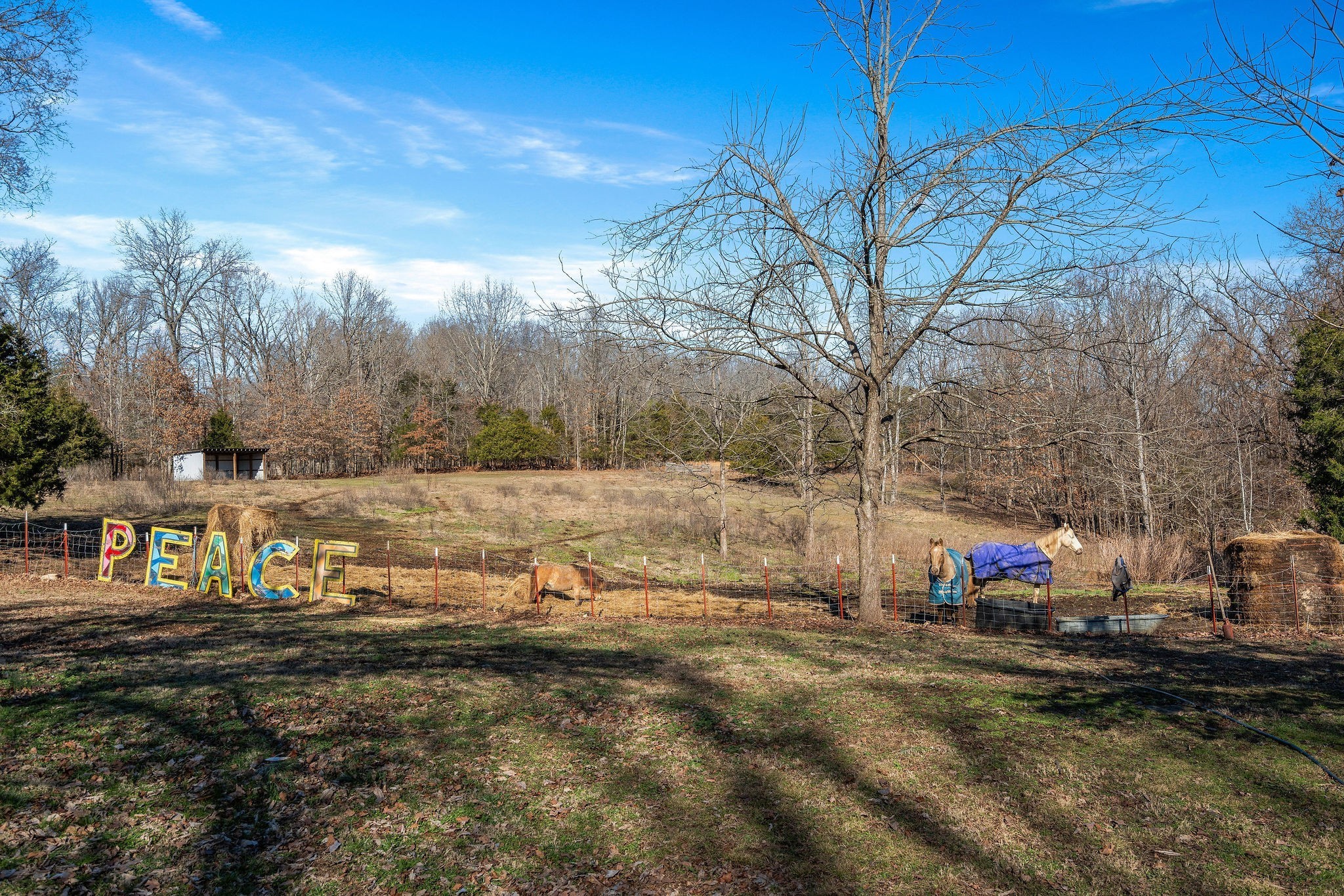 7139 Kingston Road Fairview, TN 37062 - Photo 21 of 48 a view of street with large trees