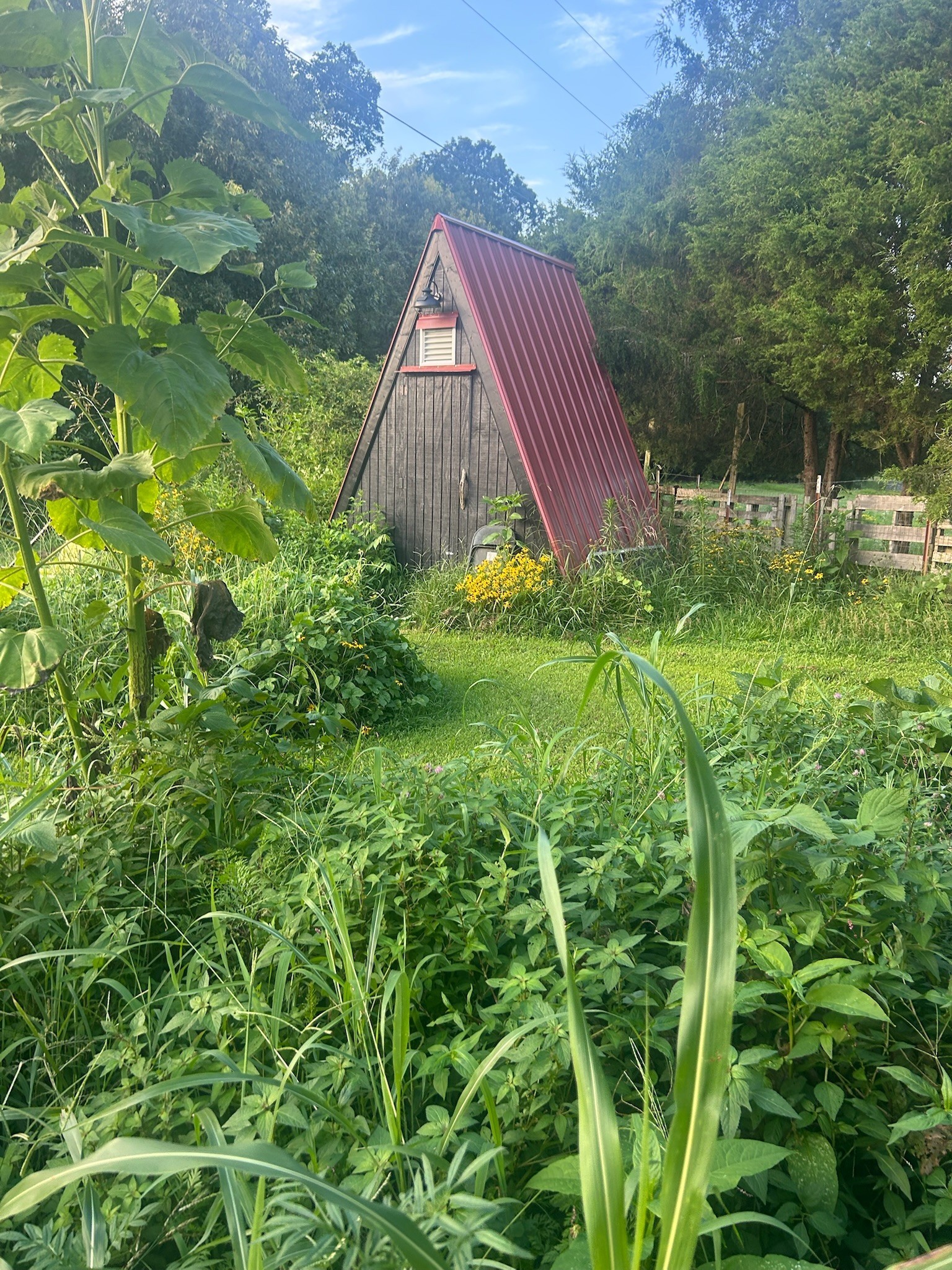 7139 Kingston Road Fairview, TN 37062 - Photo 40 of 43 a view of backyard with garden and deck