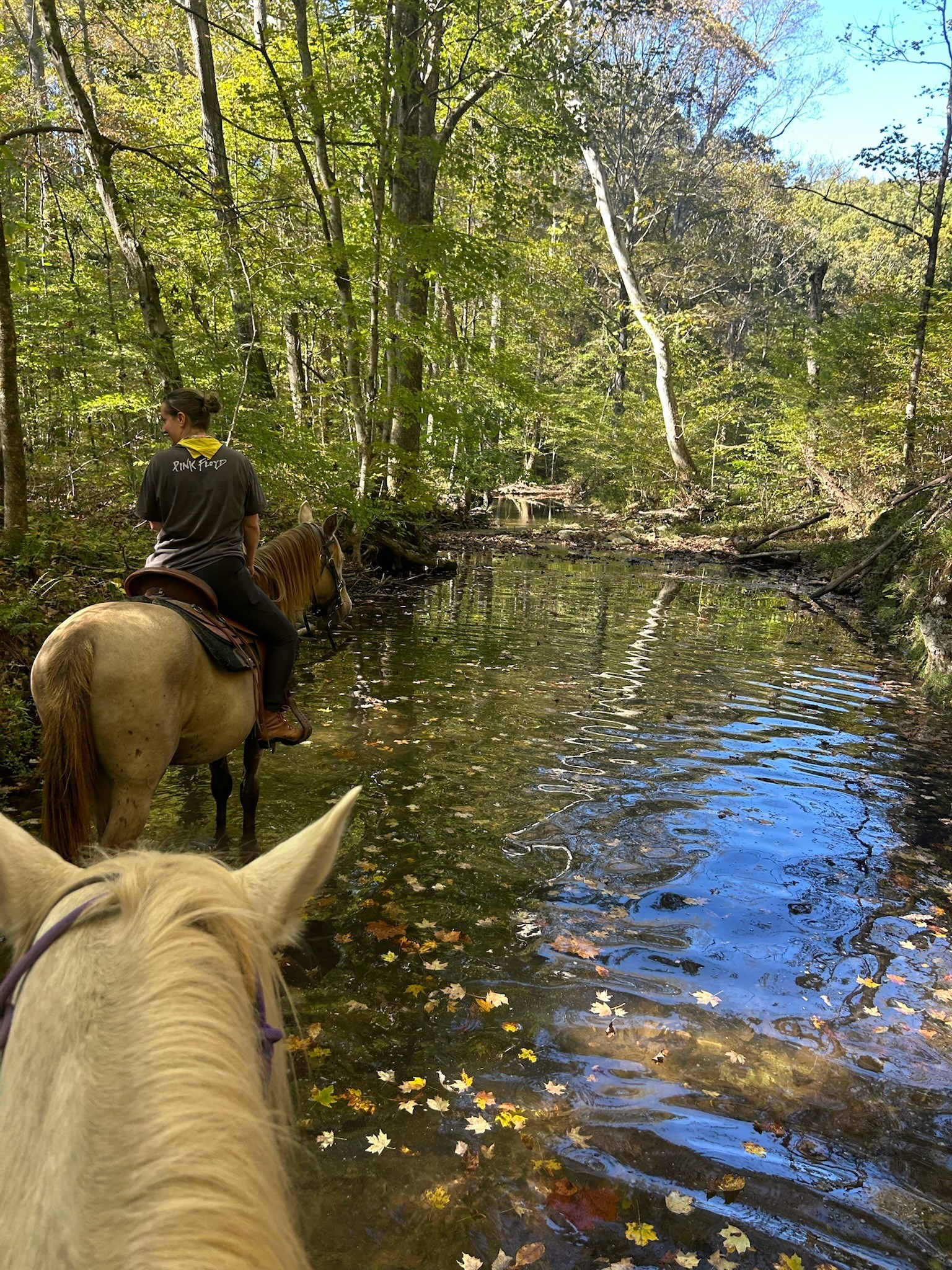 7139 Kingston Road Fairview, TN 37062 - Photo 41 of 43 a view of a lake view