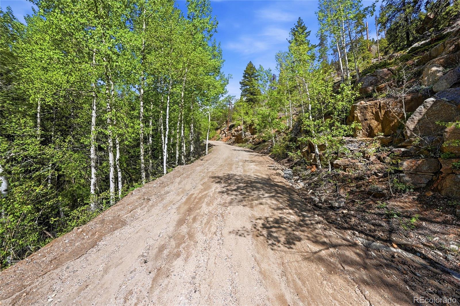 600 Ute Creek Road Idaho Springs, CO 80452 - Photo 15 of 24 a view of a backyard of the house