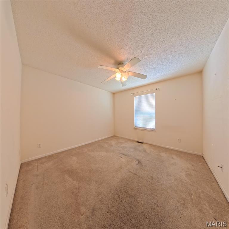 6 Cat Tail Court Belleville, IL 62223 - Photo 21 of 45