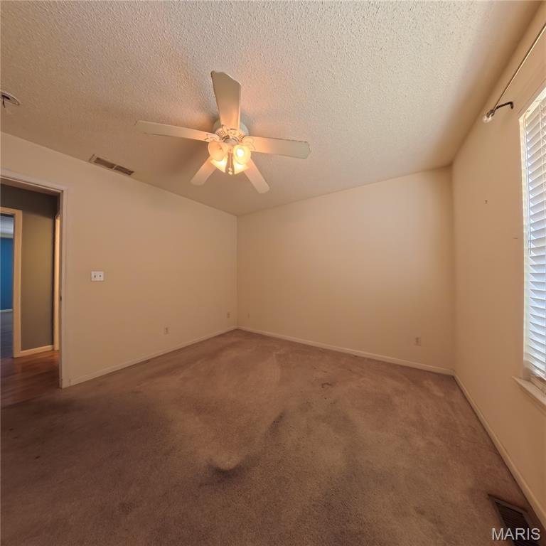 6 Cat Tail Court Belleville, IL 62223 - Photo 22 of 45