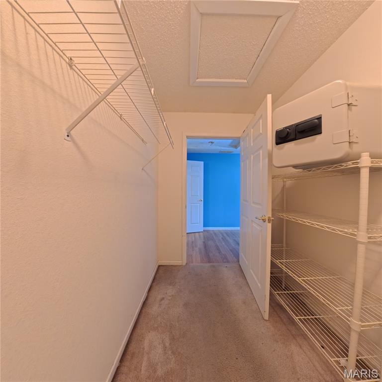 6 Cat Tail Court Belleville, IL 62223 - Photo 30 of 45