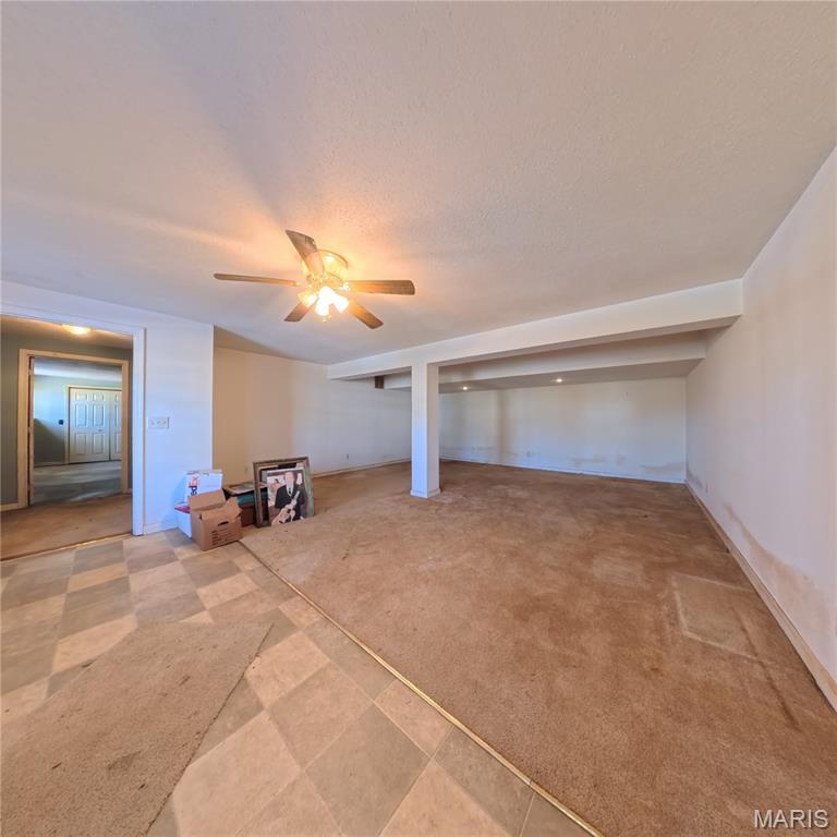 6 Cat Tail Court Belleville, IL 62223 - Photo 32 of 45