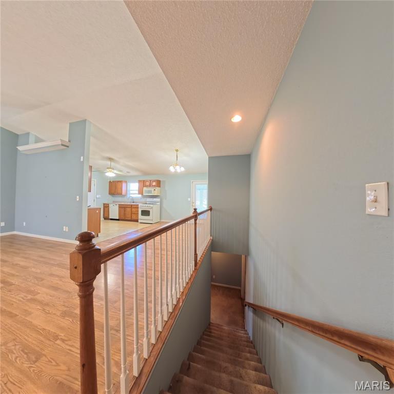 6 Cat Tail Court Belleville, IL 62223 - Photo 45 of 45