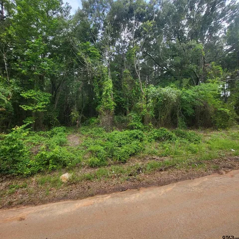 $50,000 | 380 County Road, Tyler, TX 75708