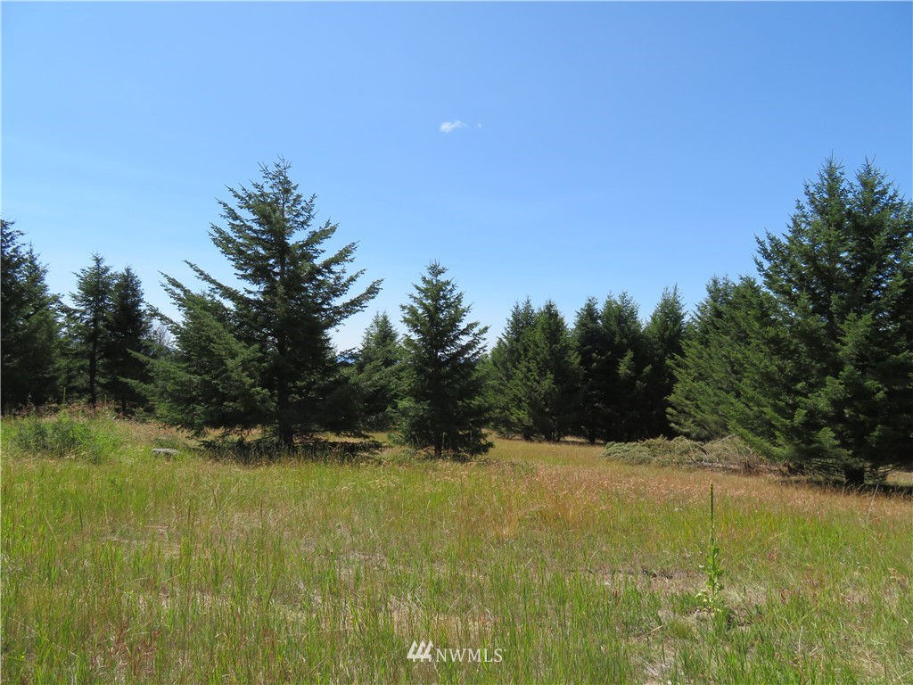 7 Bonaparte Run Road Tonasket, WA 98855 - Photo 1 of 5 Gallery Image 1
