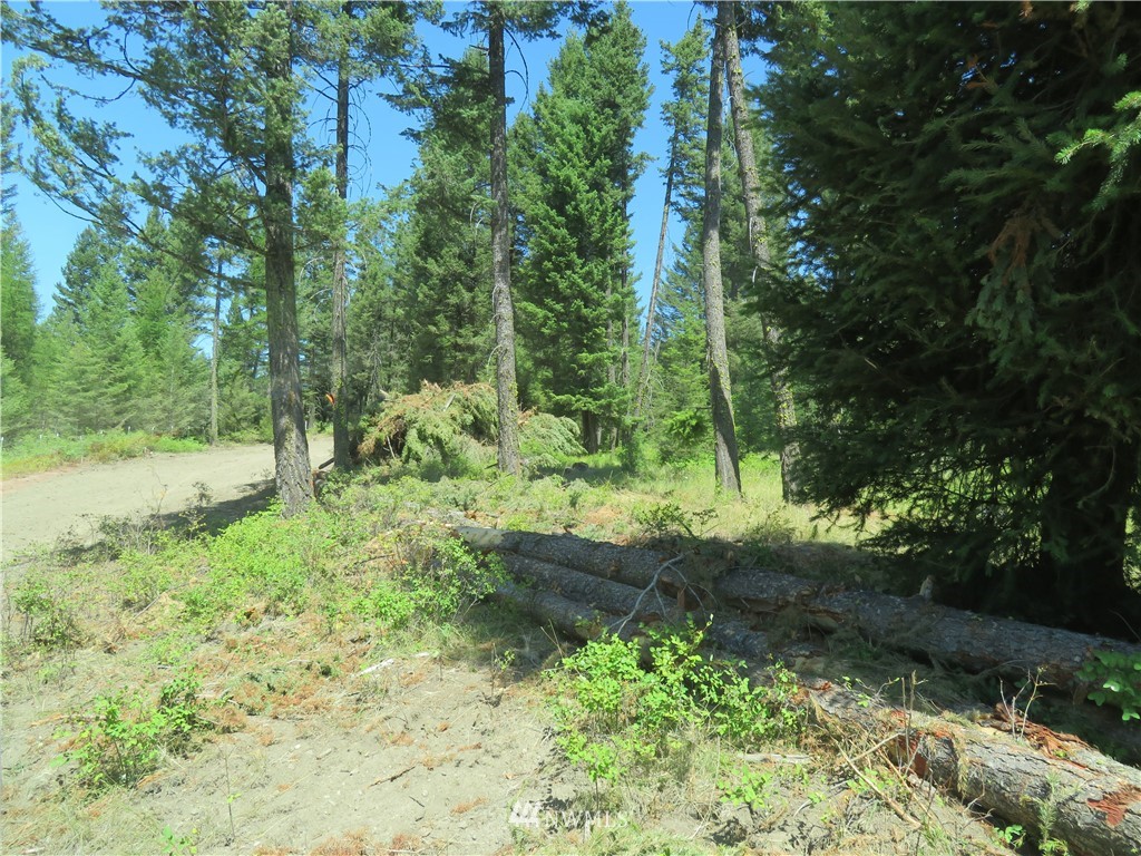 7 Bonaparte Run Road Tonasket, WA 98855 - Photo 2 of 5 Gallery Image 2