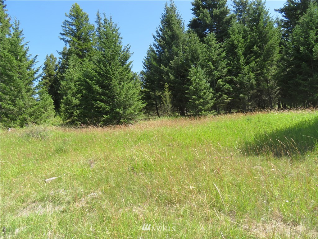 7 Bonaparte Run Road Tonasket, WA 98855 - Photo 3 of 5 Gallery Image 3