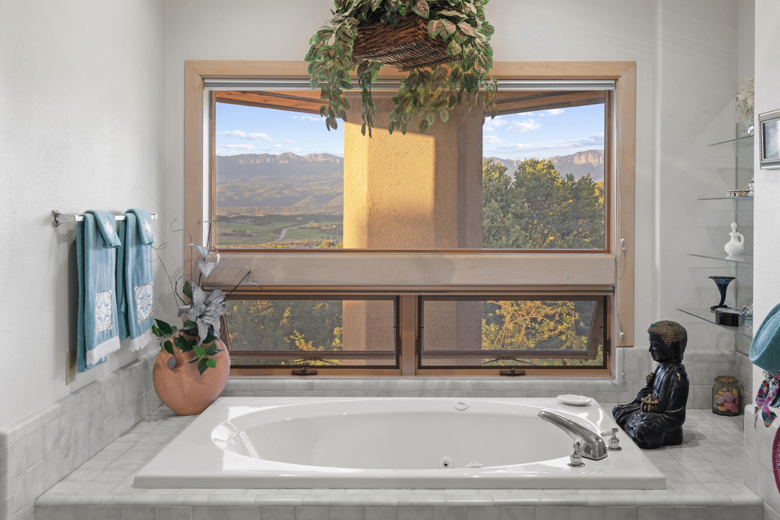 741 Terrace Drive Ridgway, CO 81432 - Photo 15 of 27 MB