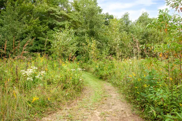 $139,900 | 19253 White Pine Drive, Unit 2, New Buffalo, MI 49117