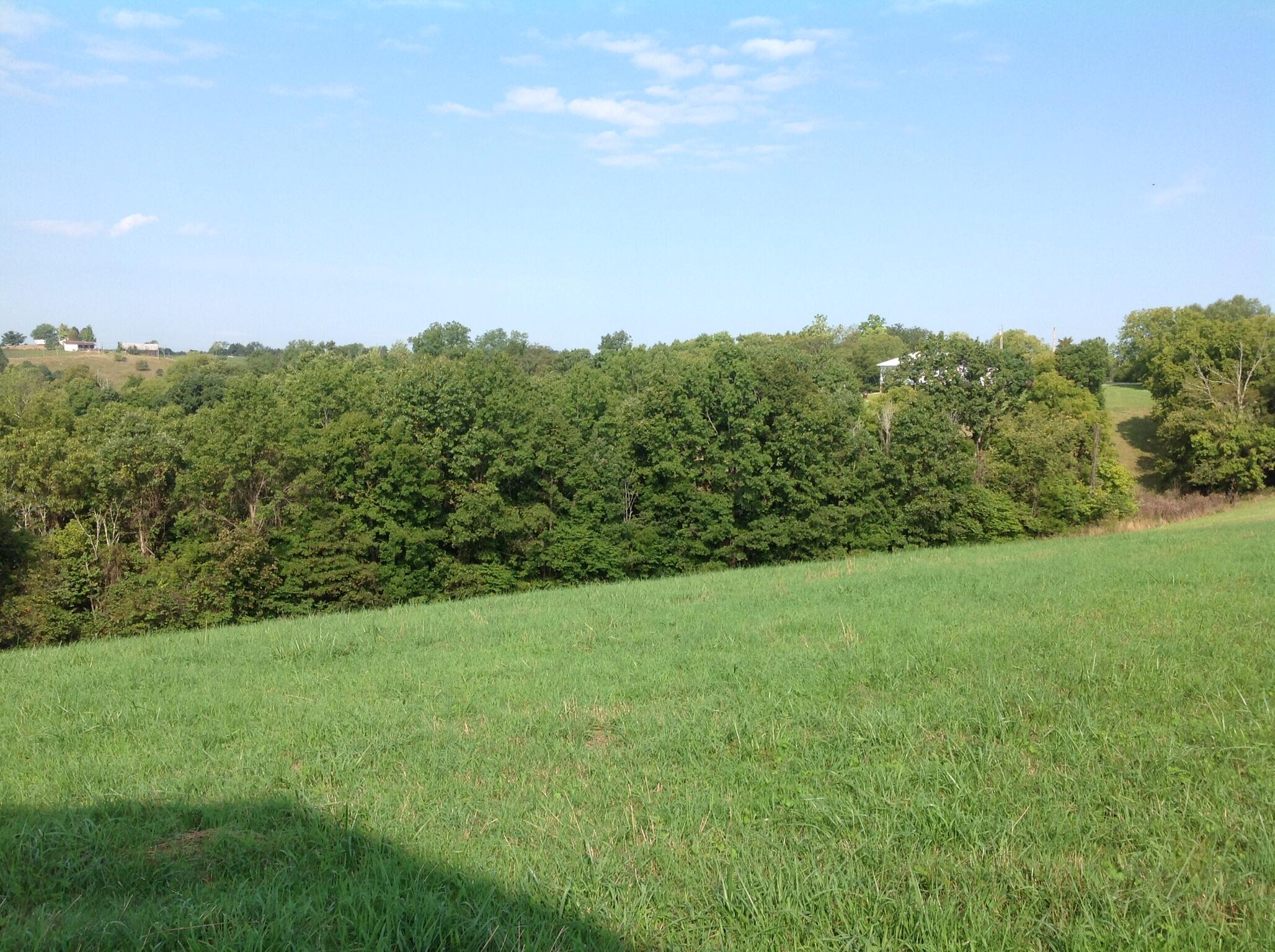 698 Ogden Ridge Road Mount Olivet, KY 41064 - Photo 11 of 12 Gallery Image 11