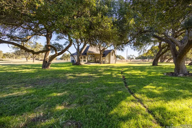 a view of yard with trees