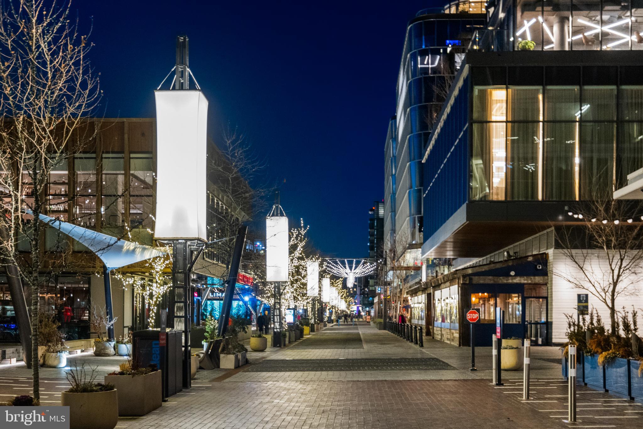 601 Wharf Street Southwest, Unit 602 Washington, DC 20024 - Photo 87 of 104