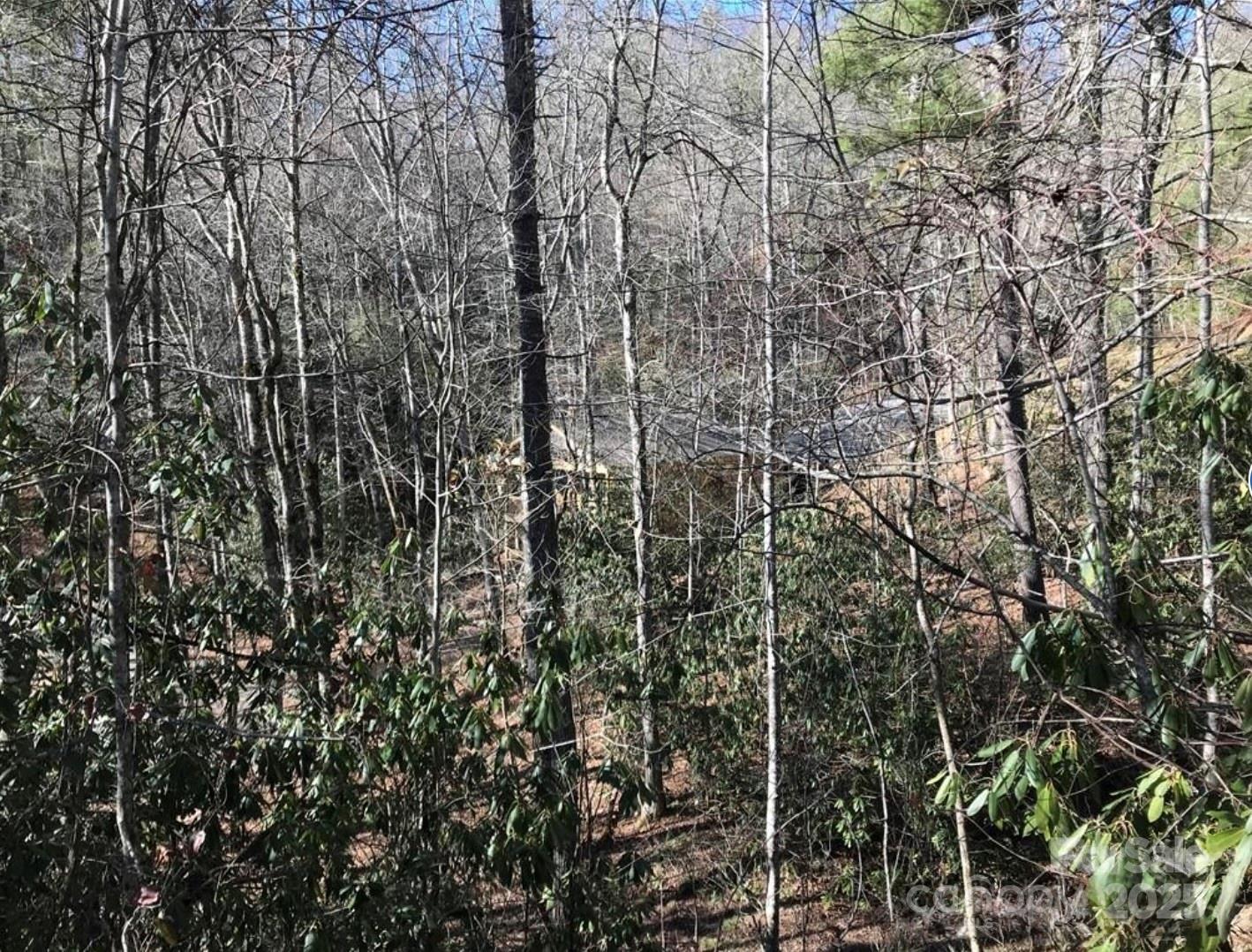 0 Saturn Way Topton, NC 28781 - Photo 14 of 25 a view of a yard